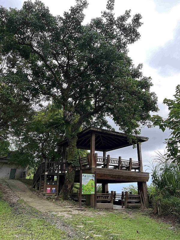 佐倉步道。