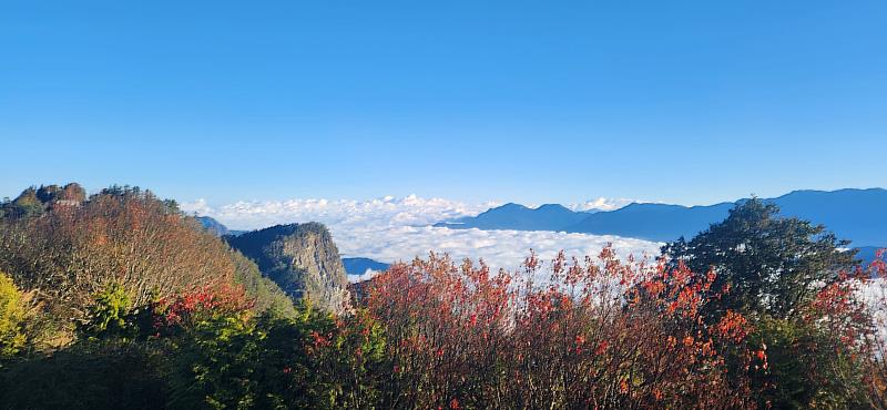 小笠原山可眺望雲海及大塔山一角,歡迎民眾多加利用阿里山與高鐵合作聯票至阿里山走春。