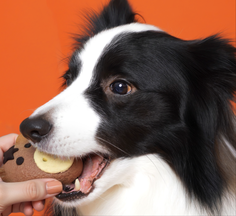 敘日全日餐廳推出農曆馬年限定毛孩年菜，以手作小馬造型點心搭配雞肉腸內餡，造型討喜、用料實在，為毛孩獻上寓意滿滿的新年美味。（圖／六福旅遊集團提供）