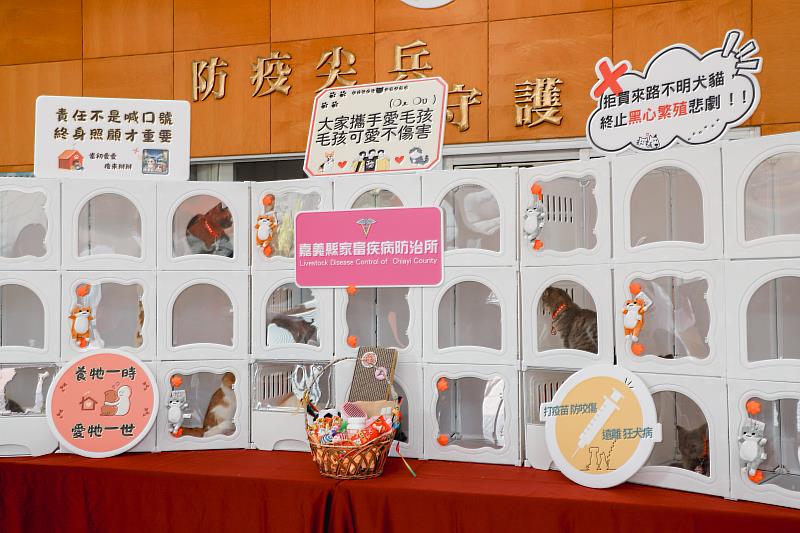 「喵星人命定配對」結果揭曉 0.65%中籤率抽出29位「鏟屎官」