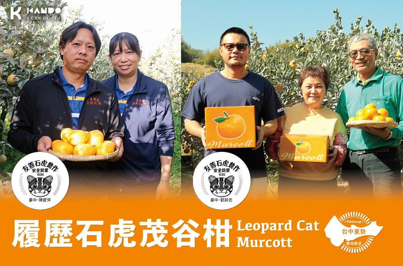 來自橘梨家、明正茂谷原宿的友善石虎茂谷柑。(圖片來源:升陽農產)