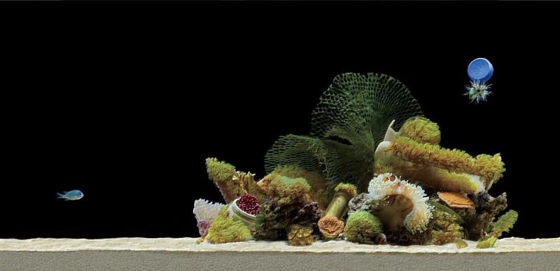 關注永續議題，以海廢為題設計思考傳達生態永續關懷。