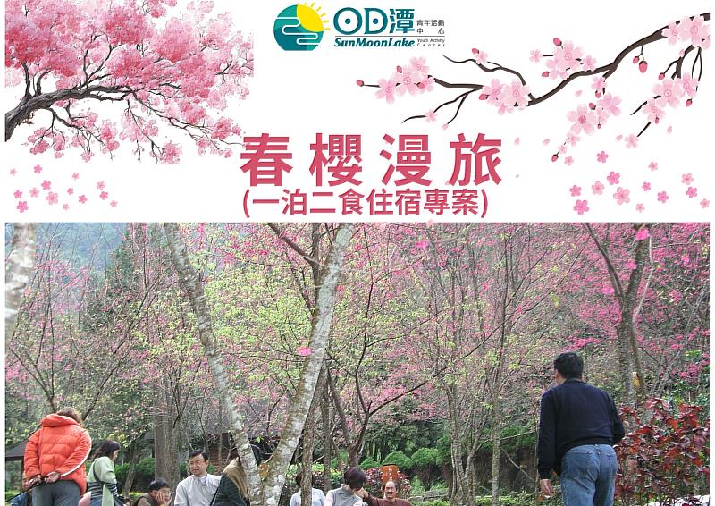 日月潭青山湖畔櫻花綻放!2026「春櫻漫遊平日一泊二食專案」浪漫登場