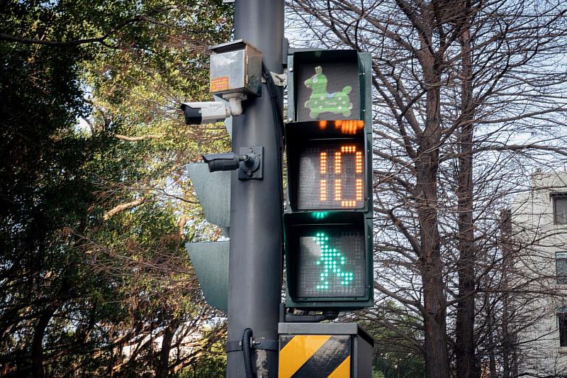 竹市「Rody跳跳馬」現身紅綠燈號誌，用創意守護行人安全。