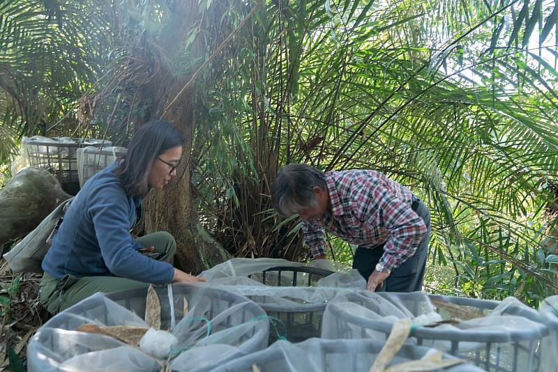 深耕產地落實陪伴 串聯通路完善產銷 嘉義林下經濟邁向永續產業