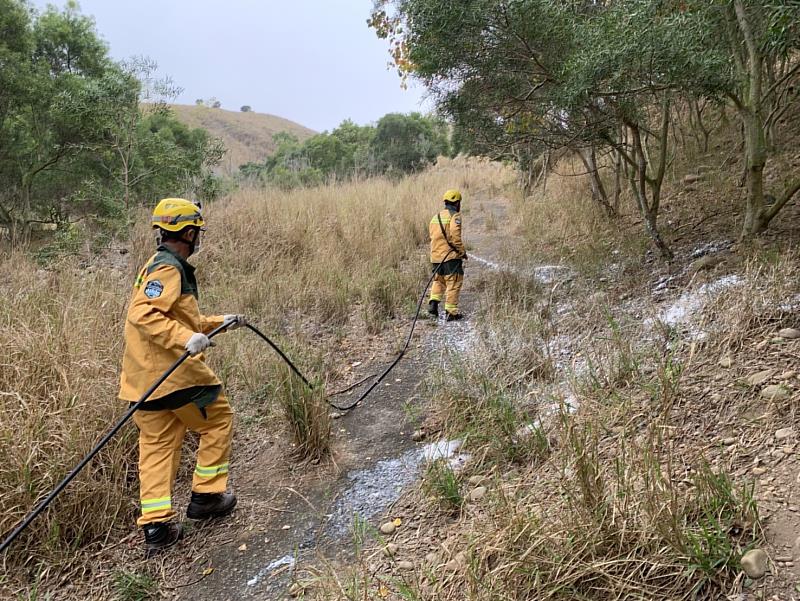 春節走春遊山林 有您參與保護林