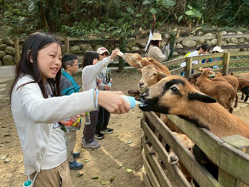 走進牧野秘境，展開冒險旅程！「飛牛牧場探索挑戰營」體驗自然與團隊的極限挑戰