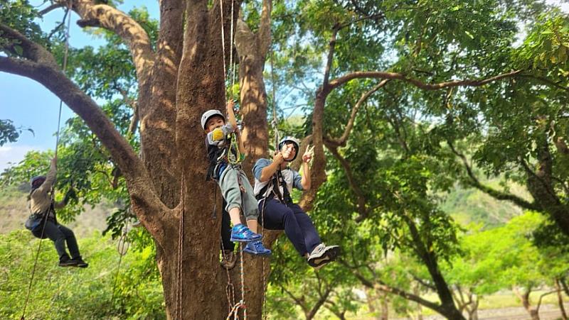 雙流 3 月限定「森之行」：登上樹冠層 體驗高空森林視野