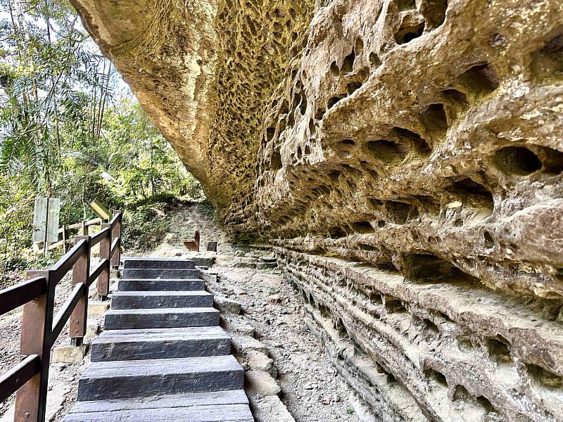 青年嶺步道