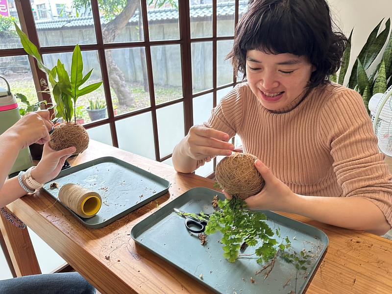 今年度新辦苔球手作贈苗活動,歡迎一起療癒體驗。