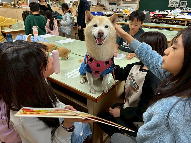 三玉國小推動的「說故事給狗聽」計畫,讓一群小朋友圍著狗狗,七嘴八舌地說故事給狗聽。