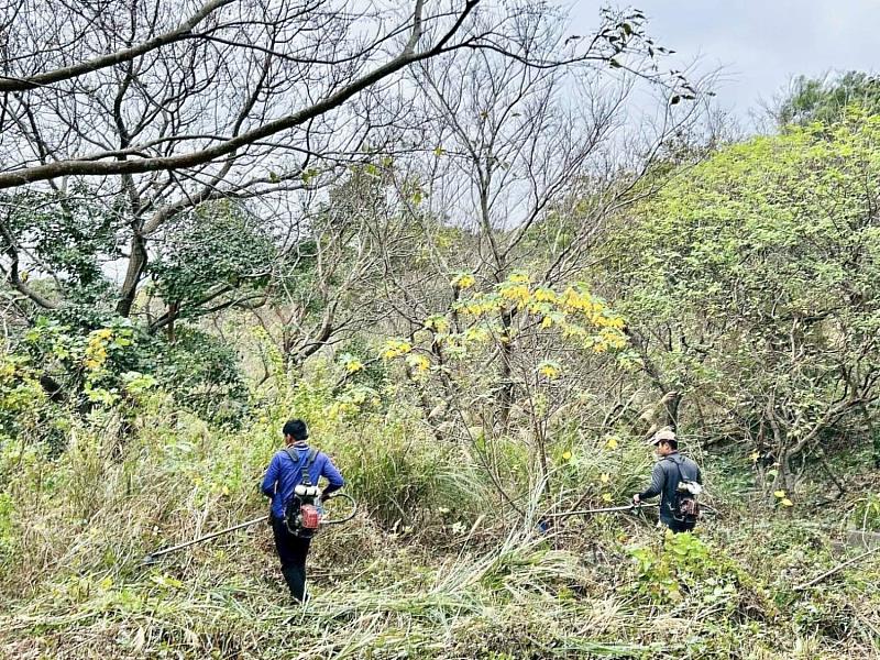 竹市府提前啟動公墓除草作業 贈小盆栽鼓勵分流掃墓