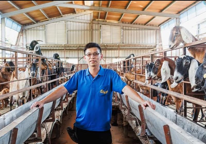 「豐園羊牧場」提供導覽與餵食體驗，適合全家一起出遊前往。