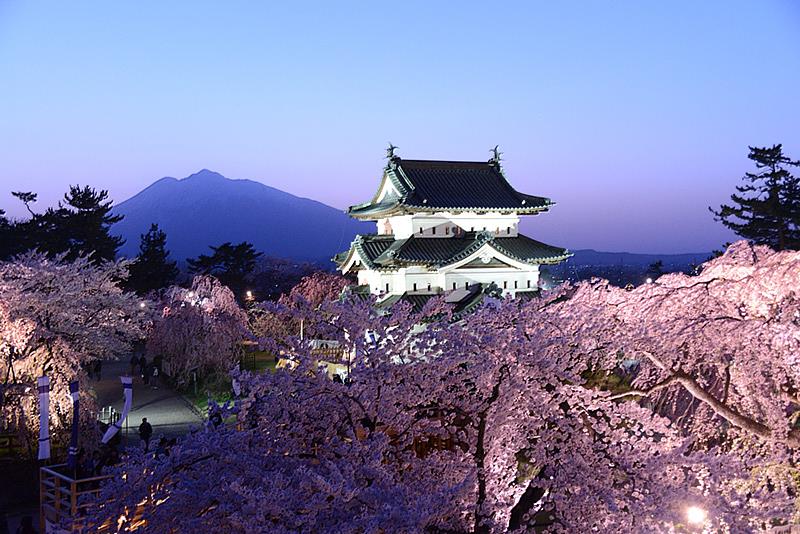 日本第一賞櫻勝地的弘前公園櫻花祭，其夜櫻襯著遠方的岩木山，格外有日式侘寂的美感。圖／Amazing Aomori