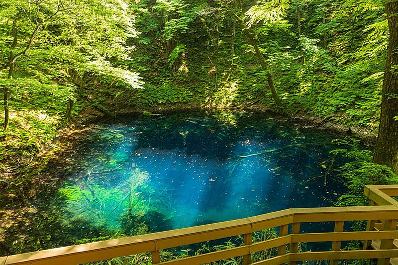 白神山地西側的青池，其宛如藍寶石般的池水散發著神祕氣息，讓人仿佛一秒置身於奇幻世界。圖／Amazing Aomori