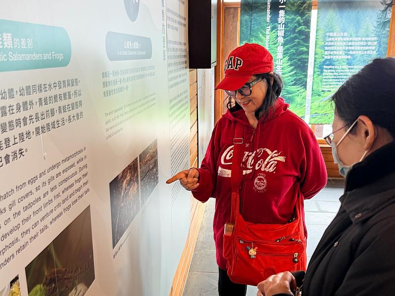 遊客透過互動牆探索山椒魚的生活史，扎根保育觀念。