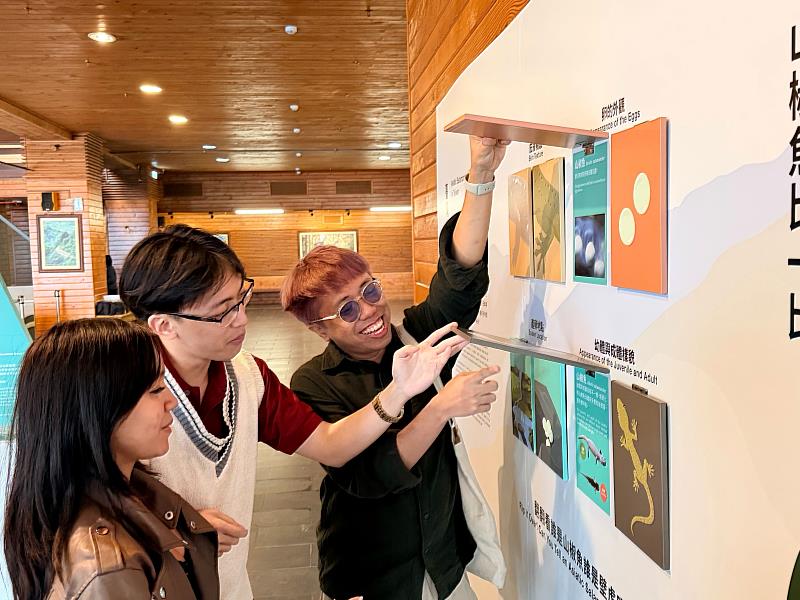 民眾正熱烈參與「翻翻牌」互動遊戲，透過有趣的對比設計，在寓教於樂中辨識兩棲類的特徵。