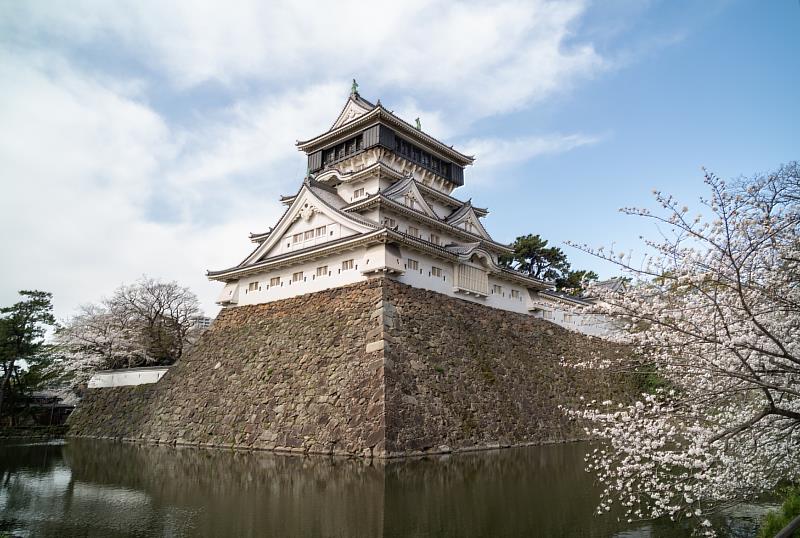 北九州市最著名的賞櫻景點是勝山公園，以小倉的象徵小倉城為中心，也被評選為「櫻花名勝100選」，是北九州代表性賞櫻勝地。
