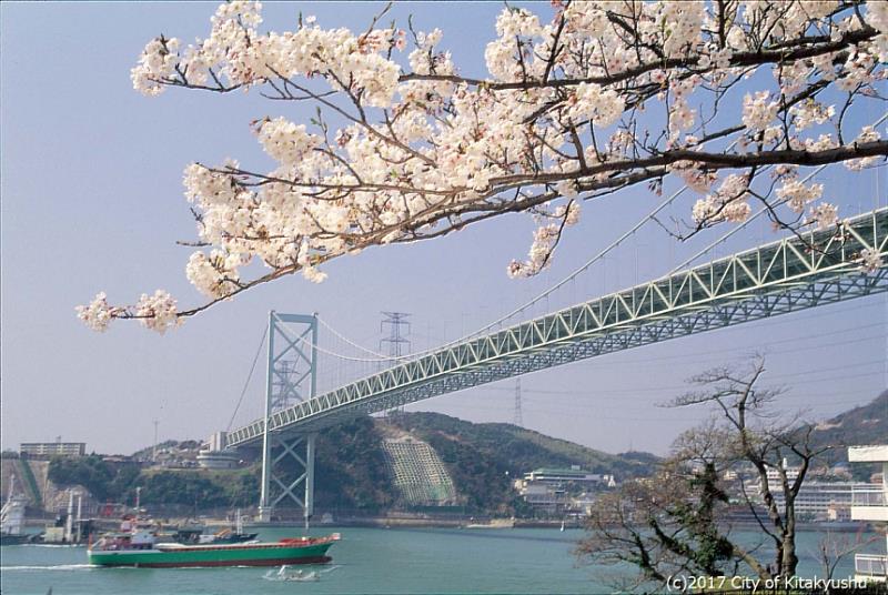 和布刈公園可以眺望關門海峽的絕景和櫻花的共同演出，也推薦作為從觀光觀光小火車「潮風號」的終點站出發的散步路線。