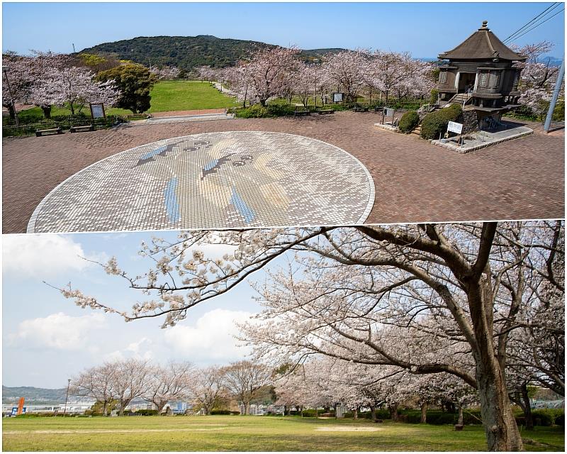 位於若松區高塔山的高塔山公園，以賞夜櫻聞名；高爐台公園是傳承北九州製鐵歷史的公園，可一覽櫻花和北九州市街景。