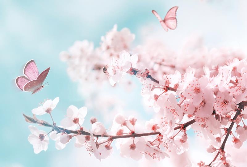 遠傳漫遊日韓上網計日型99元起　再加碼抽福岡雙人行