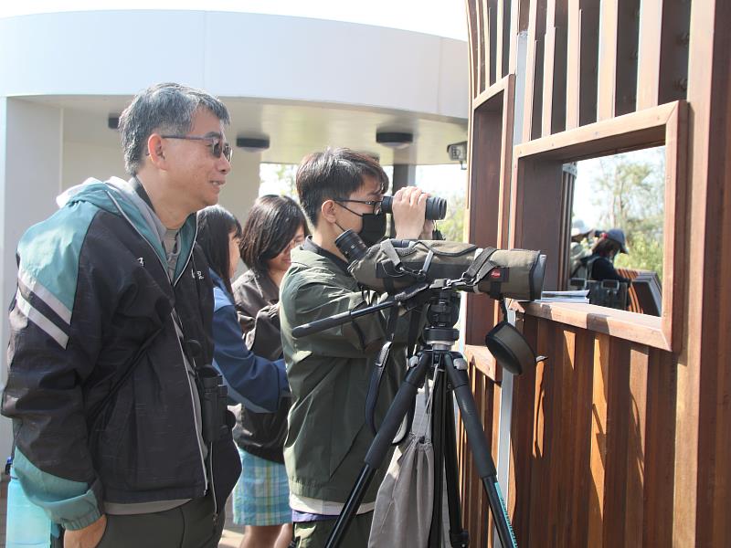 布袋候鳥季今日登場，千羽齊聚展現國家級濕地風采