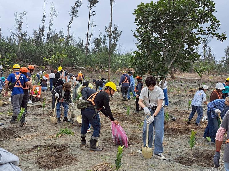 林保署臺東分署、INNISFREE、小馬部落共同植樹（2）