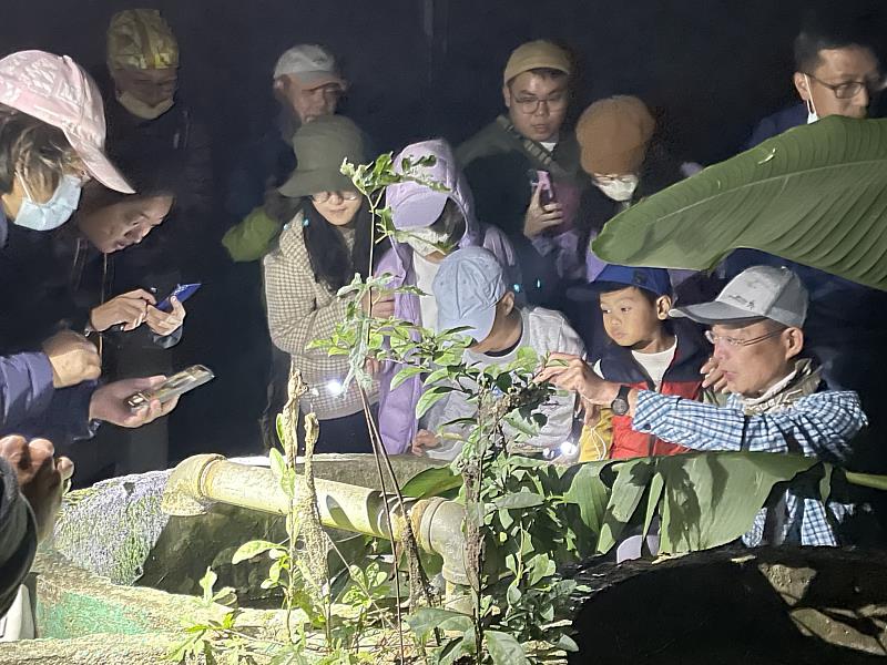 夜觀螢火蟲。（照片來源：池南自然教育中心）