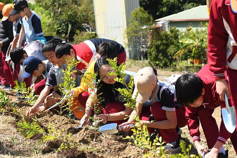 翁子國小學生植樹。