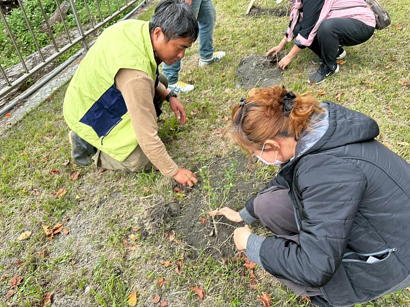 現場示範植樹技巧與養護方式。