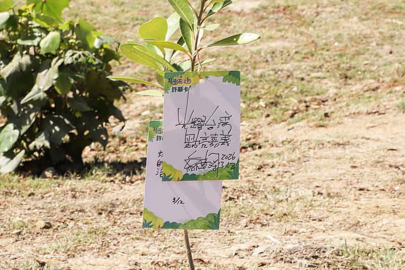 布袋高跟鞋教堂添綠意 植樹節種下500株喬灌木