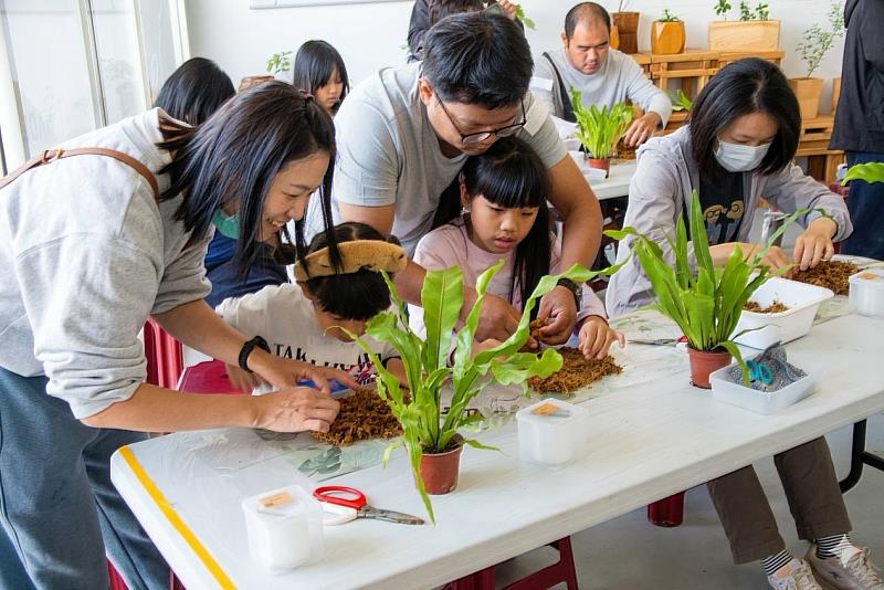 水苔球DIY體驗活動。