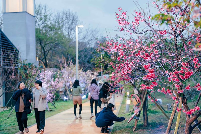「2026新竹市賞花季-花現好日仔」活動內容精彩多元,吸引19萬人次到訪新竹公園。