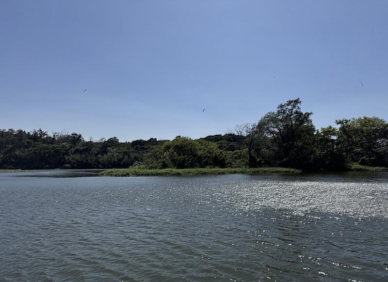 竹市府近期逐步完成青草湖水域漂浮植物與雜草清除作業。