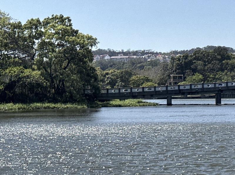 竹市府近期逐步完成青草湖水域漂浮植物與雜草清除作業。