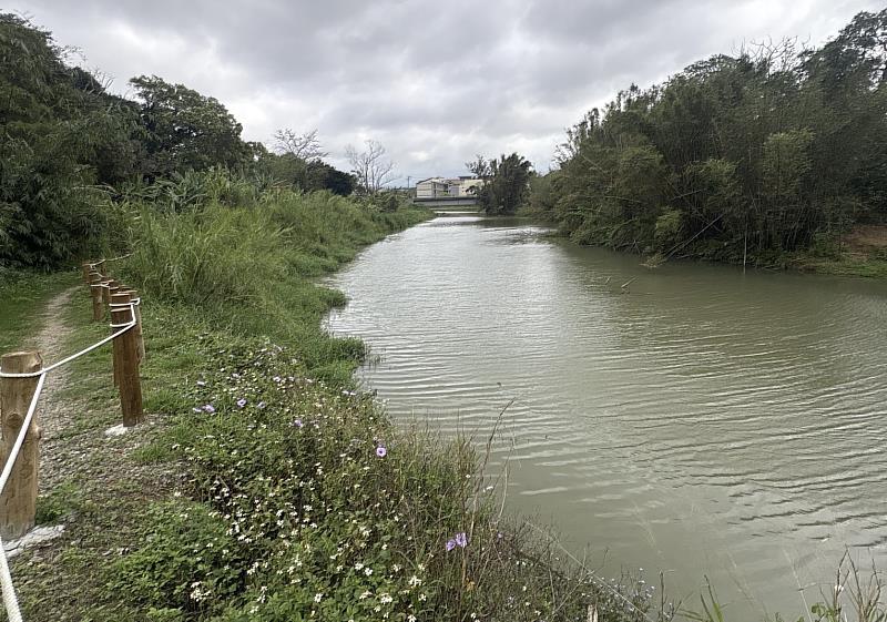 竹市府近期逐步完成青草湖水域漂浮植物與雜草清除作業。