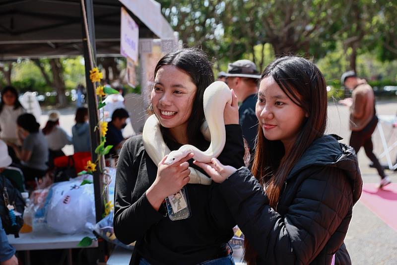 蛇這樣的寵物，引起大家的關注與拍照。