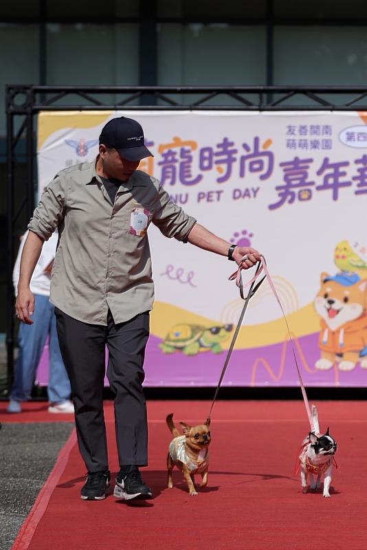 小動物跟著走秀，害羞前行。