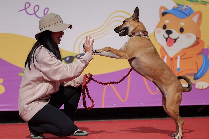 學生與愛犬互動表演High Five，萌寵舞台吸引師生圍觀。