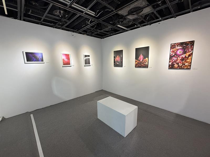 SS新銳藝術展展出情形。