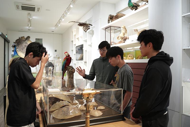 神戶大學師生參觀自然史博物館。