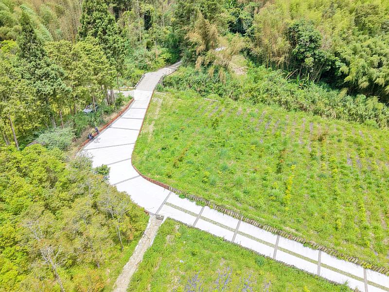 改善採穗園基礎設施，構築林業的「樹木搖籃」。