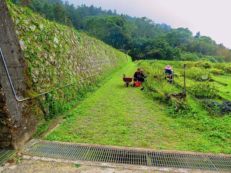 苗圃告別作業道泥濘隱憂,提供作業人員安全舒適的環境。