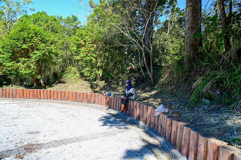 運用國產柳杉打造木排樁，為採穗園同仁提供友善休憩空間。