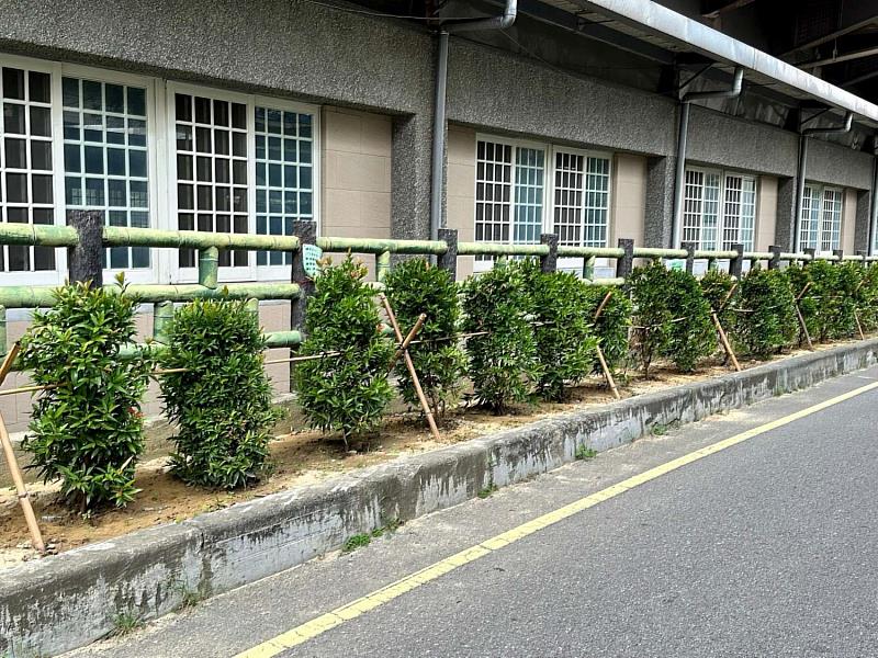 中埔里綠牆面。