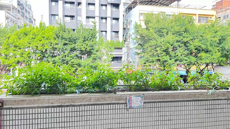 三民國中綠牆面。