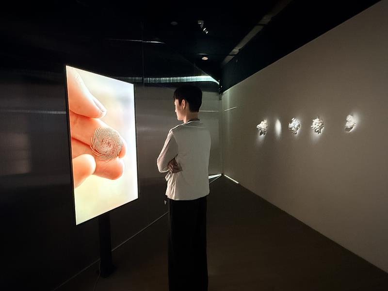 《倒立之相》以AI運作為鏡，透過數字與規律的顯影，帶領觀者回望自身生命的微觀樣貌。