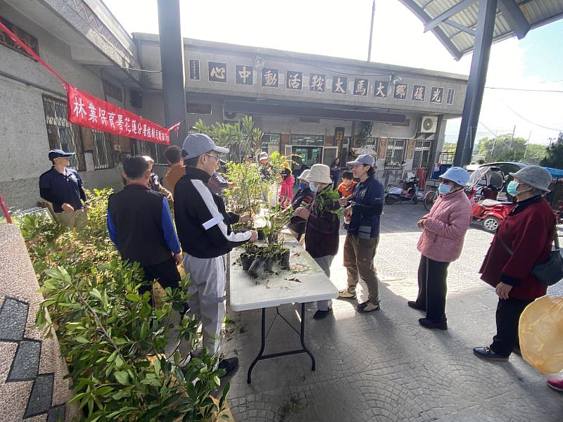 大馬村贈苗。