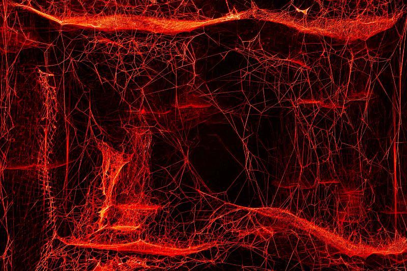 〈如何將宇宙陷入蛛網？〉展間一隅。（新北市美術館提供，攝影：林軒朗）