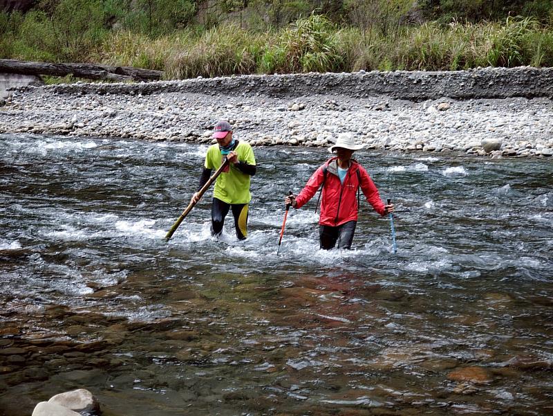 國家森林調查監測志工參與大安溪深山勤務，任務艱鉅，需穿越溪流，涉水前行。
